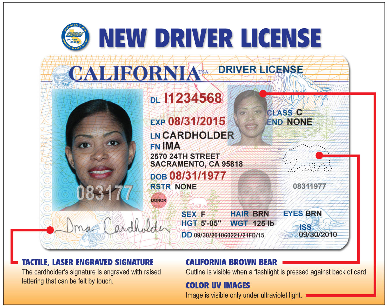 New California driver licenses : darleeneisms